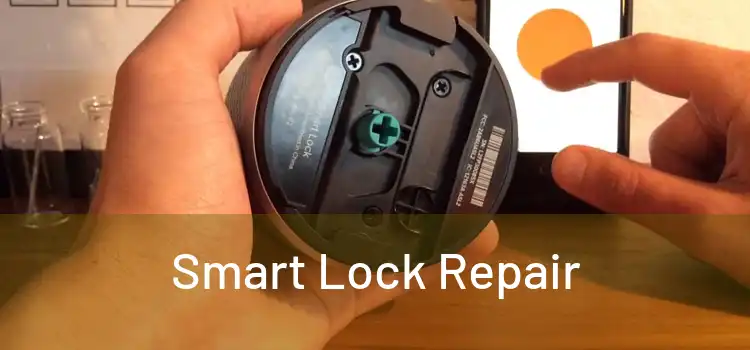 Smart Lock Repair